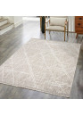 Tapis uni effet laine berbère beige TANGER 62