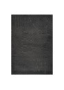 Tapis extérieur intérieur gris anthracite TOKYO 02