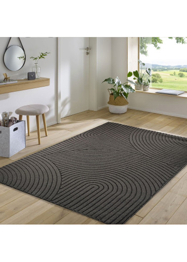 Tapis extérieur intérieur gris anthracite TOKYO 02