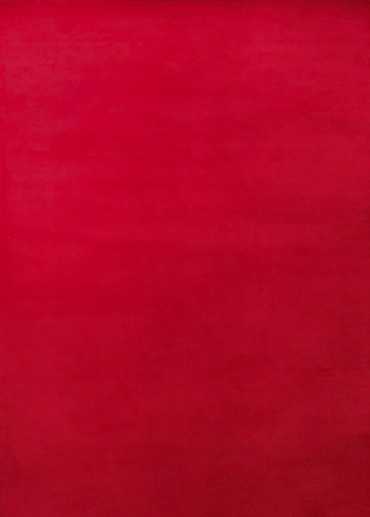 Tapis uni lavable en machine AVIGNON