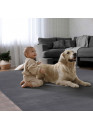 Tapis doux lavable gris anthracite - COSY